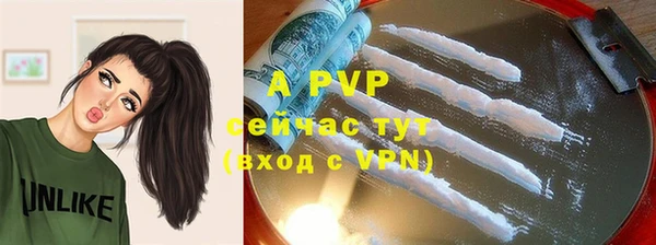 стафф Баксан