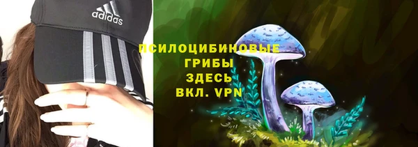 стафф Баксан