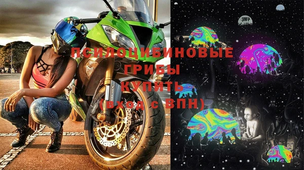 стафф Баксан