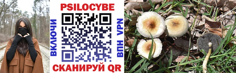Галлюциногенные грибы MAGIC MUSHROOMS  где купить наркоту  Сосновый Бор 
